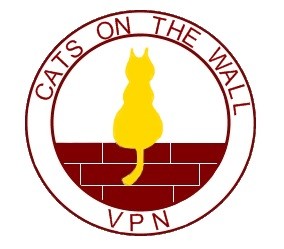 かべネコVPNがおすすめの人